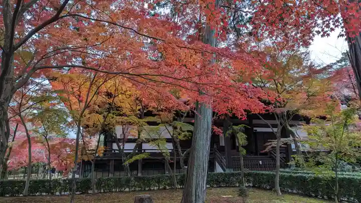 真正極楽寺(真如堂)(京都府)