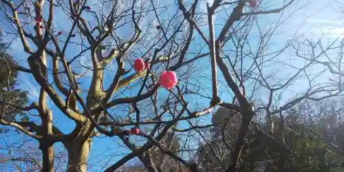 東慶寺の庭園