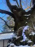 熊野皇大神社の{uncategorized: "未分類", other: "その他", undefined: "問題あり", building: "その他建物", grave: "お墓", sacred_gate: "鳥居", guardian: "狛犬", statue: "像", buddha: "仏像", history: "歴史", nature: "自然", garden: "庭園", animal: "動物", pagoda: "塔", temizu: "手水舎", mountain_gate: "山門・神門", sanctuary: "本殿・本堂", subordinate: "末社・摂社", art: "芸術", scenery: "景色", jizo: "地蔵", ema: "絵馬", goshuin: "御朱印", omikuji: "おみくじ", items: "授与品その他", amulet: "お守り", goshuincho: "御朱印帳", eats: "食事", festival: "お祭り", votive_dance: "神楽", shichigosan: "七五三参", wedding: "結婚式", experience: "体験その他", initially: "初詣", around: "周辺", anti_infection: "感染症対策"}
