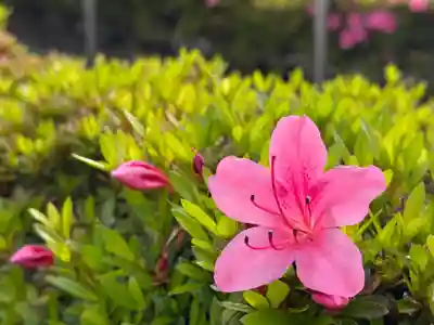 西方山極楽寺(岐阜県)