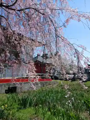白狐山光星寺(山形県)
