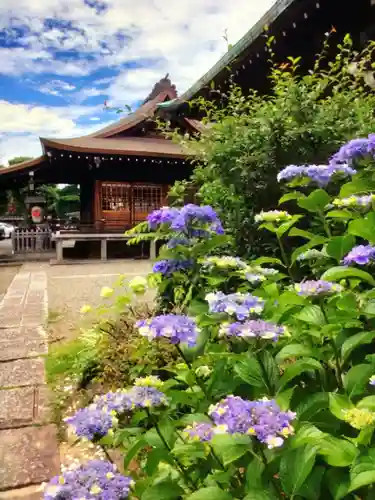 本郷氷川神社(東京都)