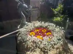 御井神社の手水