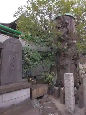 円泉寺(東京都)