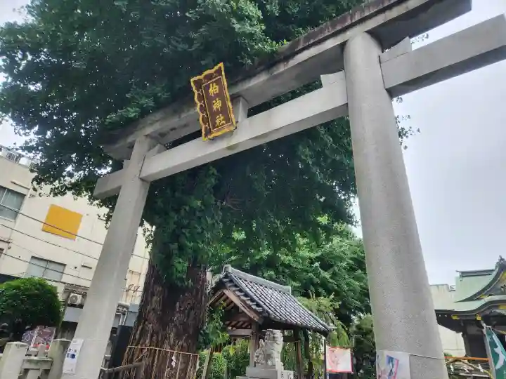 柏神社(千葉県)