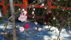 賀茂別雷神社（上賀茂神社）の自然