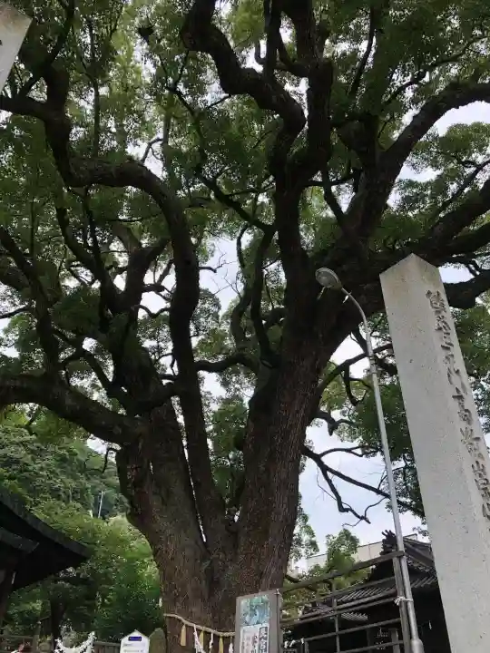 艮神社(広島県)