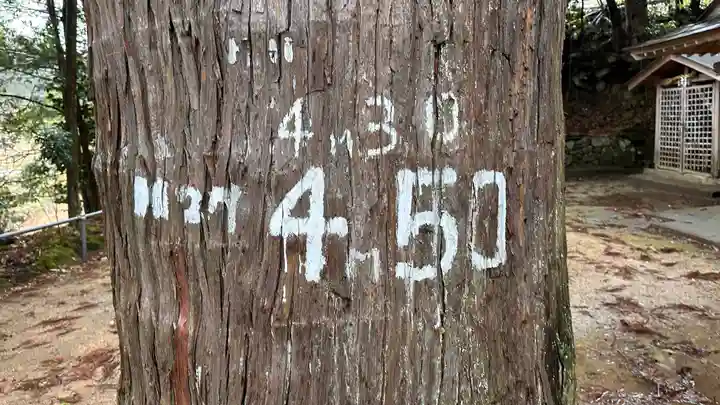 大仙神社(兵庫県)