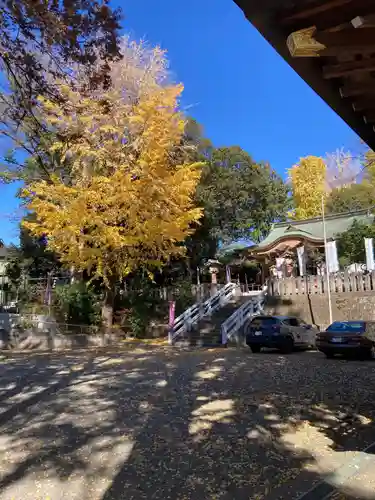 北澤八幡神社(東京都)