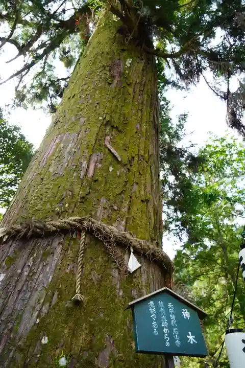 石山寺(滋賀県)