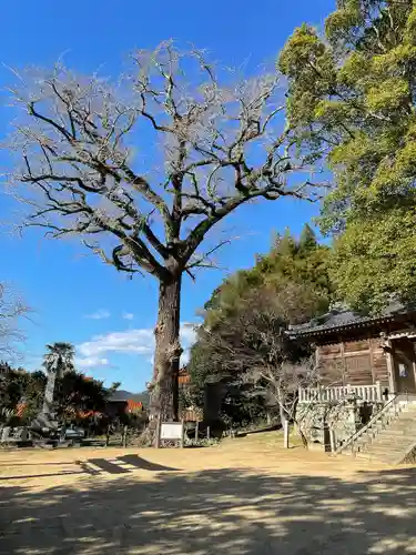 内日神社(山口県)
