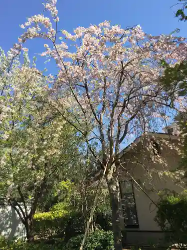 霊巌寺の自然