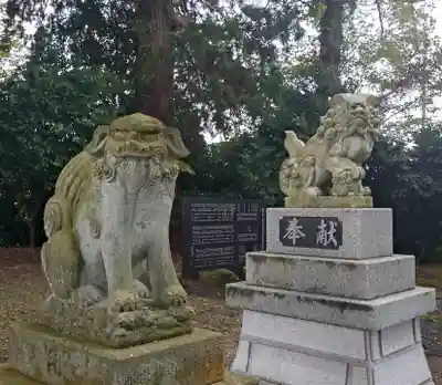 八幡神社(富山県)