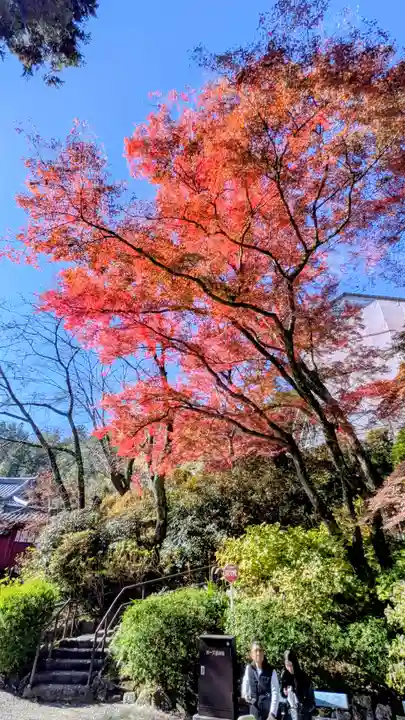 長谷寺(奈良県)