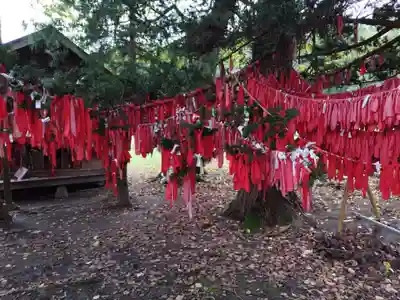 卯子酉神社(岩手県)