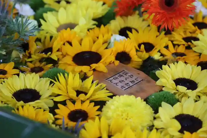 住吉神社の手水舎