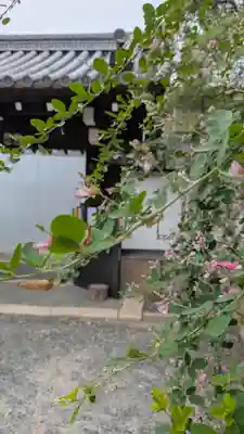 良正院(京都府)