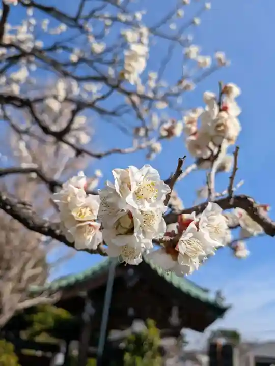 福蔵院(東京都)