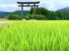 大斎原（熊野本宮大社旧社地）(和歌山県)