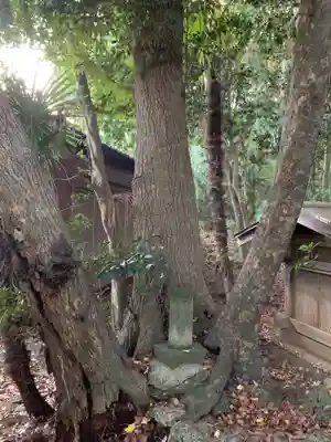 御霊神社の自然