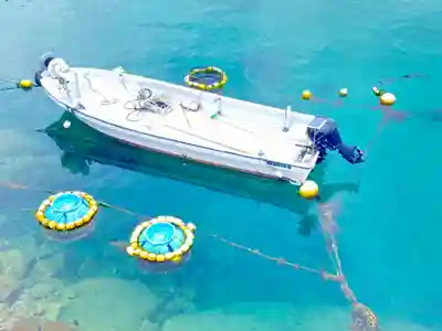 柏島稲荷神社(高知県)