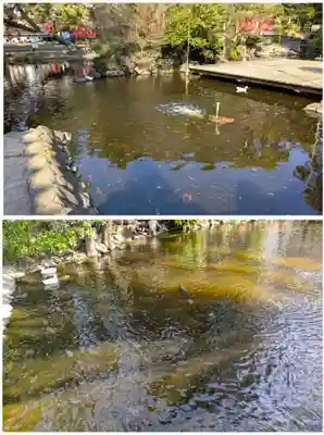 平塚八幡宮(神奈川県)