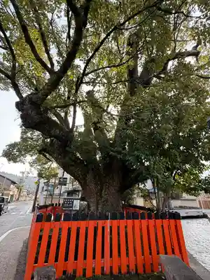 賀茂別雷神社（上賀茂神社）(京都府)
