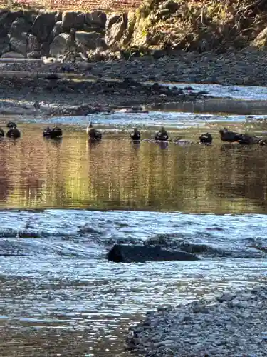 伊勢神宮内宮（皇大神宮）(三重県)