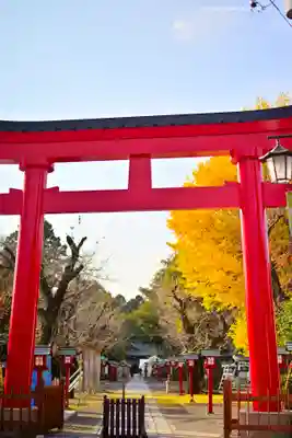 鷲宮神社(埼玉県)