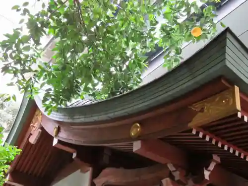 築土神社の本殿・本堂