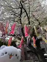 くまくま神社(導きの社 熊野町熊野神社)(東京都)