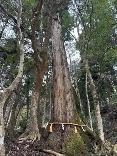 貴船神社結社の{uncategorized: "未分類", other: "その他", undefined: "問題あり", building: "その他建物", grave: "お墓", sacred_gate: "鳥居", guardian: "狛犬", statue: "像", buddha: "仏像", history: "歴史", nature: "自然", garden: "庭園", animal: "動物", pagoda: "塔", temizu: "手水舎", mountain_gate: "山門・神門", sanctuary: "本殿・本堂", subordinate: "末社・摂社", art: "芸術", scenery: "景色", jizo: "地蔵", ema: "絵馬", goshuin: "御朱印", omikuji: "おみくじ", items: "授与品その他", amulet: "お守り", goshuincho: "御朱印帳", eats: "食事", festival: "お祭り", votive_dance: "神楽", shichigosan: "七五三参", wedding: "結婚式", experience: "体験その他", initially: "初詣", around: "周辺", anti_infection: "感染症対策"}
