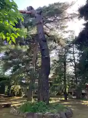 三寳寺(東京都)