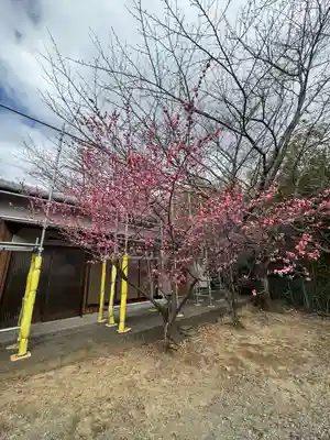 成就寺(三重県)