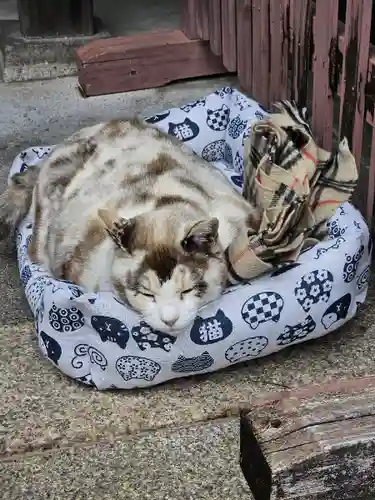 松山神社(大阪府)
