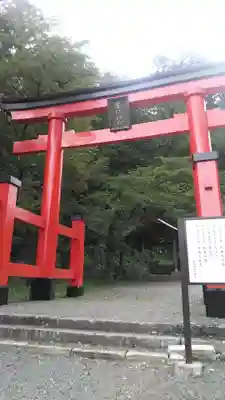 金櫻神社の鳥居