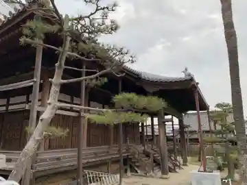 光触寺の本殿・本堂