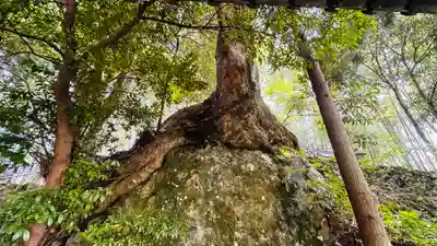 岩神神社(京都府)