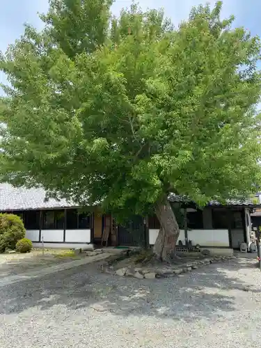 世尊寺(奈良県)