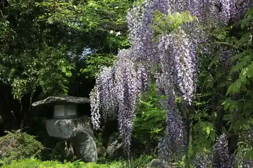 神炊館神社 ⁂奥州須賀川総鎮守⁂の庭園