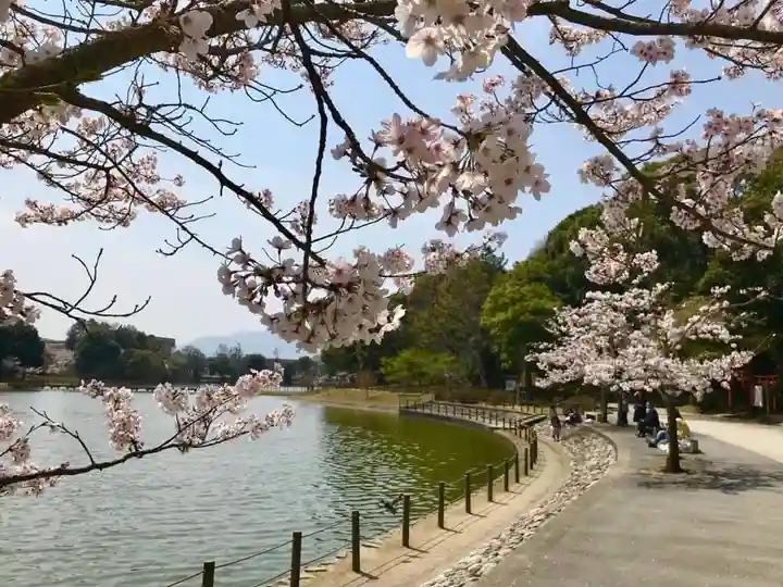 橿原神宮(奈良県)