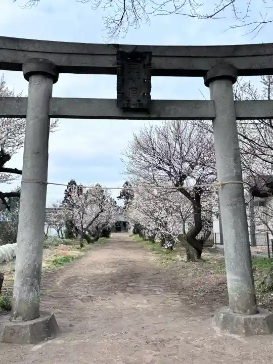 菅原神社の{uncategorized: "未分類", other: "その他", undefined: "問題あり", building: "その他建物", grave: "お墓", sacred_gate: "鳥居", guardian: "狛犬", statue: "像", buddha: "仏像", history: "歴史", nature: "自然", garden: "庭園", animal: "動物", pagoda: "塔", temizu: "手水舎", mountain_gate: "山門・神門", sanctuary: "本殿・本堂", subordinate: "末社・摂社", art: "芸術", scenery: "景色", jizo: "地蔵", ema: "絵馬", goshuin: "御朱印", omikuji: "おみくじ", items: "授与品その他", amulet: "お守り", goshuincho: "御朱印帳", eats: "食事", festival: "お祭り", votive_dance: "神楽", shichigosan: "七五三参", wedding: "結婚式", experience: "体験その他", initially: "初詣", around: "周辺", anti_infection: "感染症対策"}