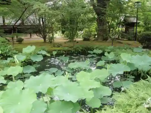 廣隆寺の庭園