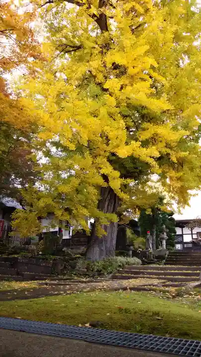 珍蔵寺 (山形県)