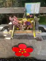 矢奈比賣神社(見付天神)の手水舎