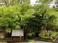 今熊野観音寺の建物その他