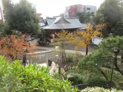 鳩森八幡神社の本殿・本堂