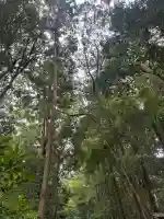 大神神社(奈良県)