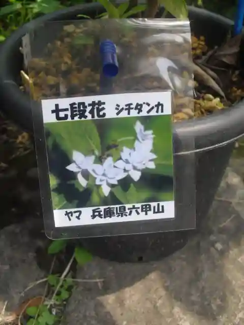 光則寺のその他建物