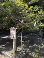 阿須伎神社(出雲大社摂社)(島根県)